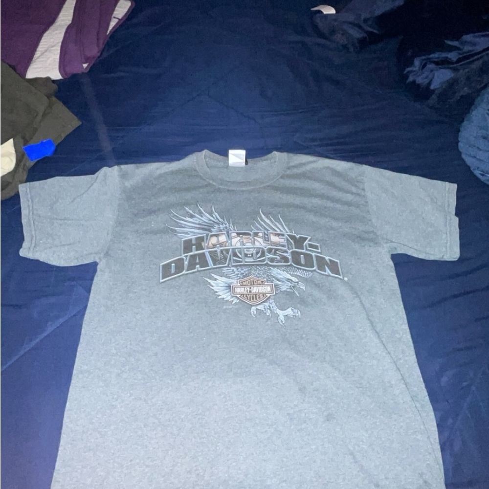 Harley-Davidson Gray T-Shirt for Men